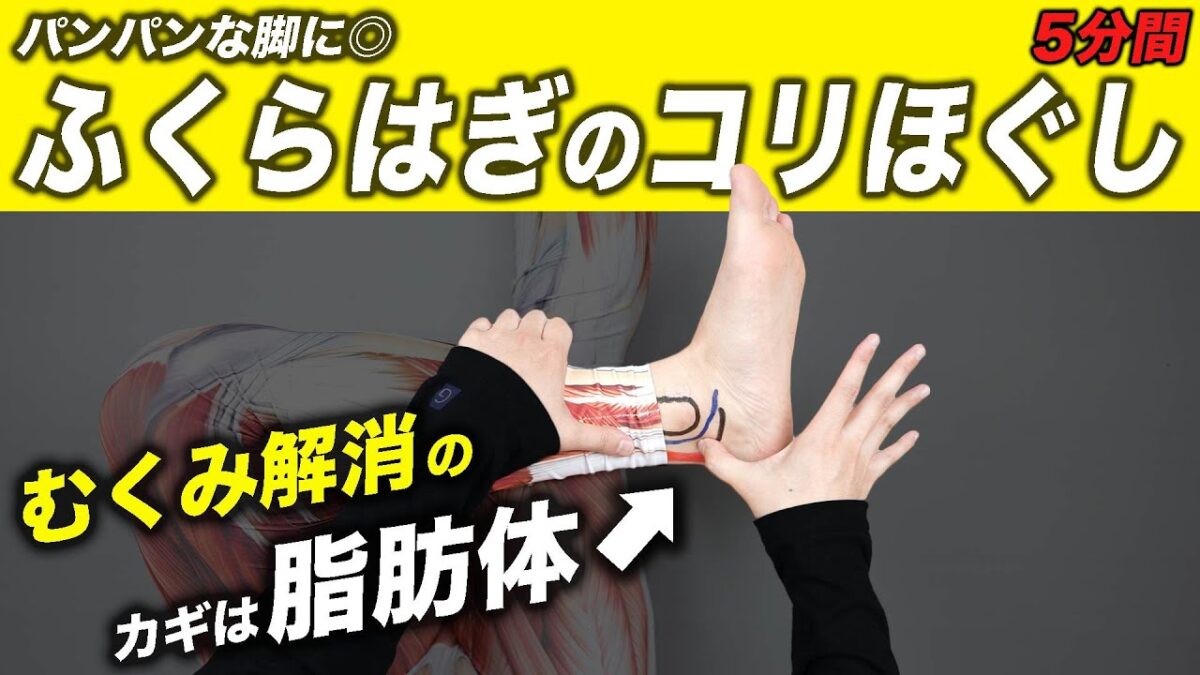 【毎日5分】ふくらはぎをスッキリほぐすルーティン【疲労回復/むくみ解消/柔軟性UP/マッサージ効果】