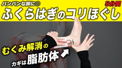 【毎日5分】ふくらはぎをスッキリほぐすルーティン【疲労回復/むくみ解消/柔軟性UP/マッサージ効果】