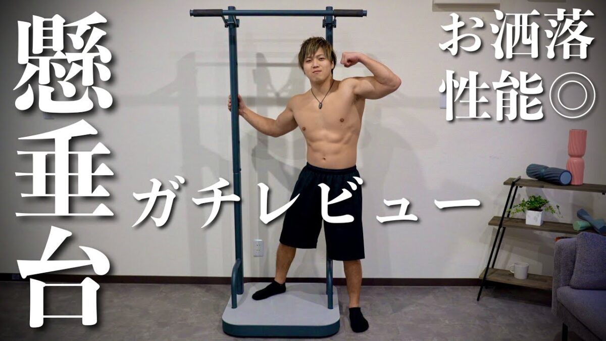 【家トレの新たな選択肢】ジム要らず！見た目も性能も申し分ない懸垂マシン