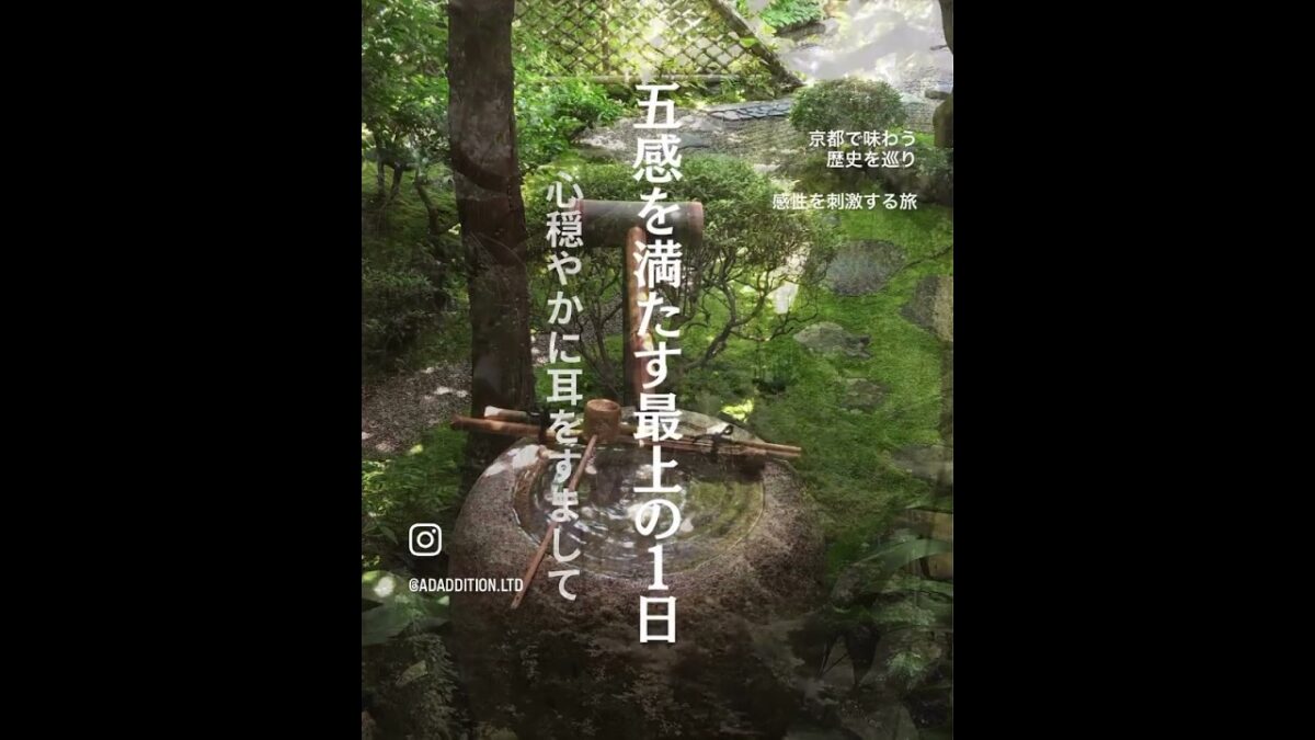 京都五感を満たす最上の1日 #京料理 #旅行 #澤正 #旅コーデ #京都