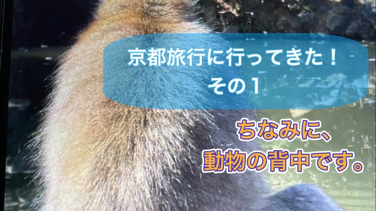京都旅行に行ってきた！　その1