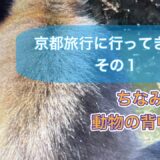 京都旅行に行ってきた！　その1
