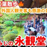 11/12(水)京都紅葉散歩🍁外国人観光客もたくさん観に来るもみじの名所 永観堂を歩く【4K】Autumn leaves at Eikando Temple