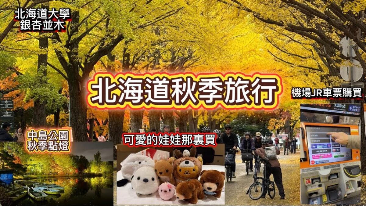 2025北海道秋季賞楓旅行｜札幌必去賞楓景點！舊本廳舍、北大銀杏並木、中島公園夜景