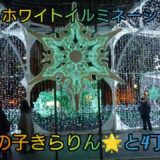 ♡さっぽろホワイトイルミネーション2025 #ホワイトイルミネーション2025 #札幌観光 #北海道旅行 #日本のカルチャー #日本のお祭り #冬のイベント #大通り公園 #ぬい活 #ぬいぐるみ ぬ