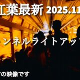 京都紅葉最新🍁紅葉トンネルライトアップ列車/2025.11.18