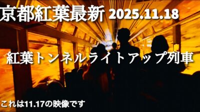 京都紅葉最新🍁紅葉トンネルライトアップ列車/2025.11.18