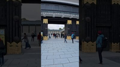 2025年11月28日（金）【まさかの空き具合】京都二条城の紅葉ピークなのに観光客めちゃ少ない！中国人激減で衝撃