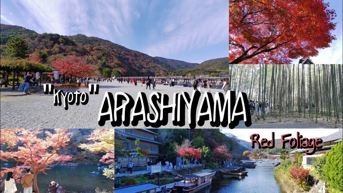 23/11/2025 Arashiyama, Kyoto 🍁Red Foliage🍁 Japan Autumn Walking Vlog