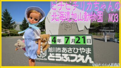 「ピチピチリカちゃん人形の北海道旅行3」旭山動物園へ行く
