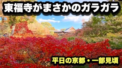 【4K】2025年11月20日（木）【平日なのに穴場】京都・東福寺の紅葉が一部見頃！まさかのガラガラで快適すぎた件