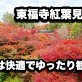 【4K】2025年11月27日（木）平日の京都・東福寺が紅葉見頃で快適！中国人観光客が激減して日本人中心の穴場状態に