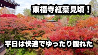 【4K】2025年11月27日（木）平日の京都・東福寺が紅葉見頃で快適！中国人観光客が激減して日本人中心の穴場状態に