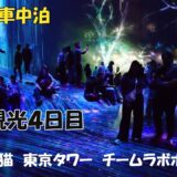 N-VAN車中泊　東京観光４日目