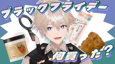 雑談 | 東京観光した話とかブラックフライデーを覗いたり #Vtuber