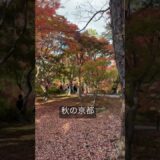 秋の京都　#japan #旅行 #景色綺麗 #紅葉 #京都観光