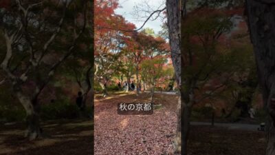 秋の京都　#japan #旅行 #景色綺麗 #紅葉 #京都観光