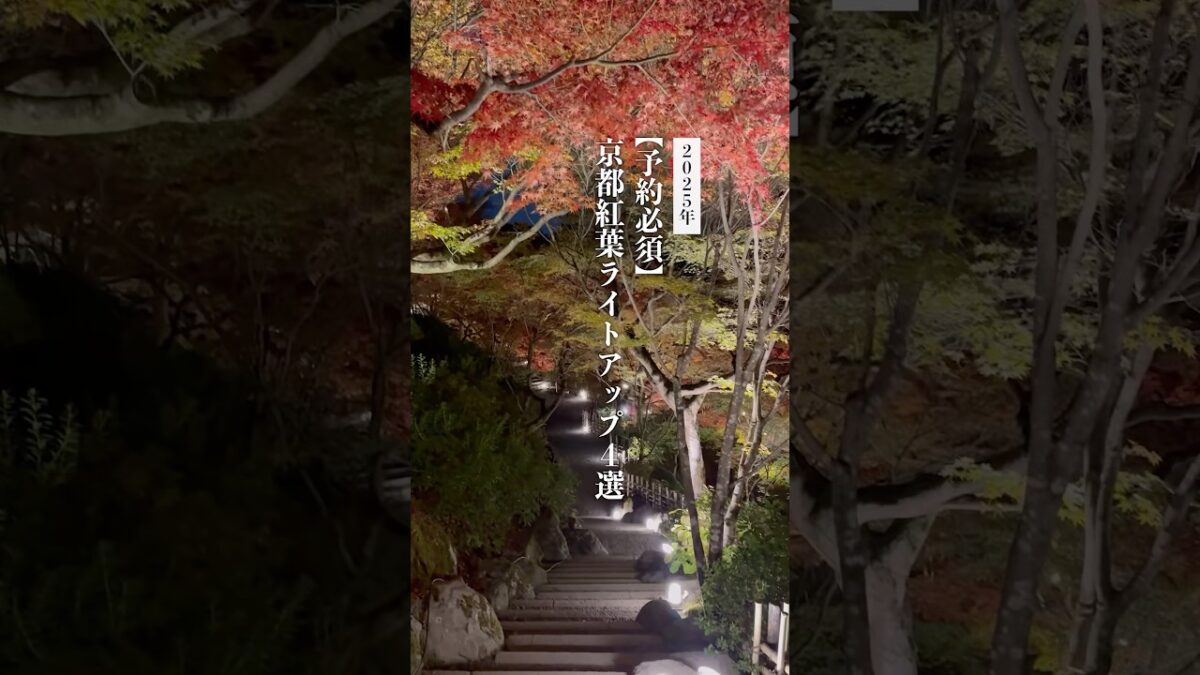 今しか見られない！京都の紅葉ライトアップ🍁 #shorts