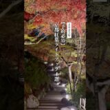 今しか見られない！京都の紅葉ライトアップ🍁 #shorts