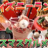 【可愛くて美味しい】ディズニーランドの超おすすめクリスマスメニュー！！【２０２５】