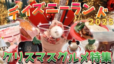 【可愛くて美味しい】ディズニーランドの超おすすめクリスマスメニュー！！【２０２５】