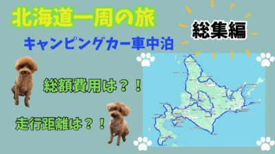 【トイプードル】北海道一周総集編！！