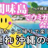 【子連れ沖縄旅行】前編 フェリーで座間味島へ🐢ウミガメシュノーケル＆那覇・国際通りで沖縄音楽ディナー🌺