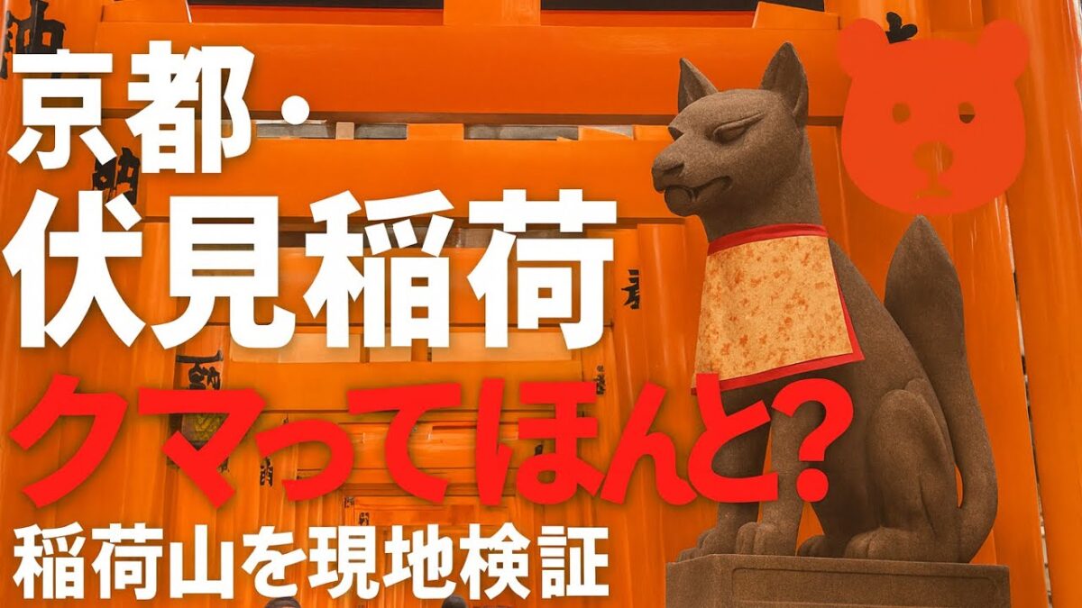 京都・伏見稲荷大社に“熊”ってマジ？現地で確かめてきた。