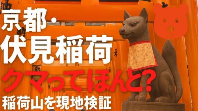 京都・伏見稲荷大社に“熊”ってマジ？現地で確かめてきた。