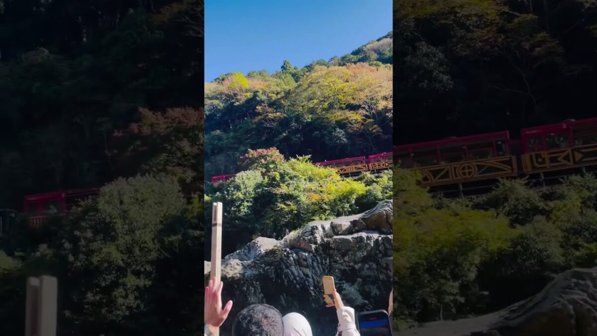 #保津川下り　#トロッコ列車 #京都 #旅行 #visitjapan #visitkyoto
