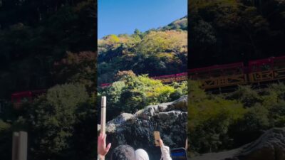 #保津川下り　#トロッコ列車 #京都 #旅行 #visitjapan #visitkyoto