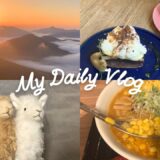 【vlog】9月の北海道旅行✈️part.3/トマム雲海テラス/リスと猫さんのカフェ/新千歳空港でお買い物