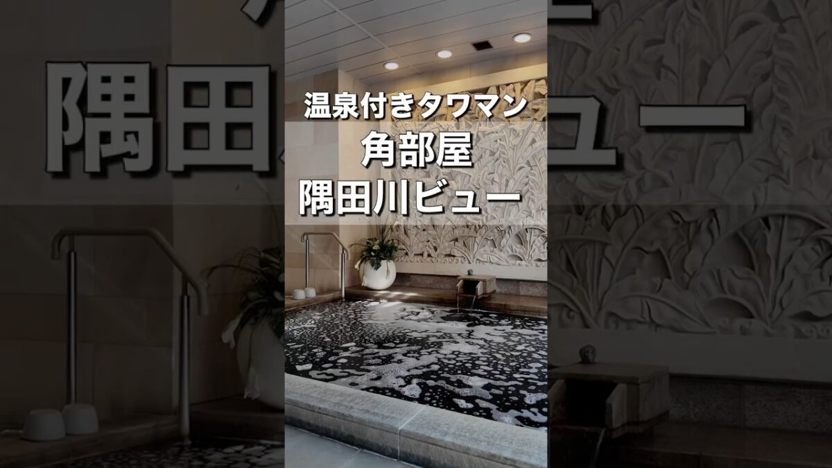 【温泉付きタワマン】11階角部屋・2LDKのお部屋紹介｜ロイヤルパークスタワー南千住 #お部屋さがし #ルームツアー #タワマン