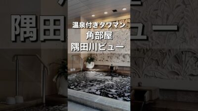 【温泉付きタワマン】11階角部屋・2LDKのお部屋紹介｜ロイヤルパークスタワー南千住 #お部屋さがし #ルームツアー #タワマン
