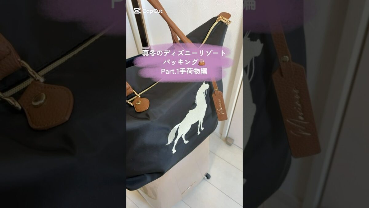 ディズニーリゾート12月真冬の旅✈️パッキングPart.1手荷物編👜オススメをご紹介❣️