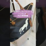 ディズニーリゾート12月真冬の旅✈️パッキングPart.1手荷物編👜オススメをご紹介❣️
