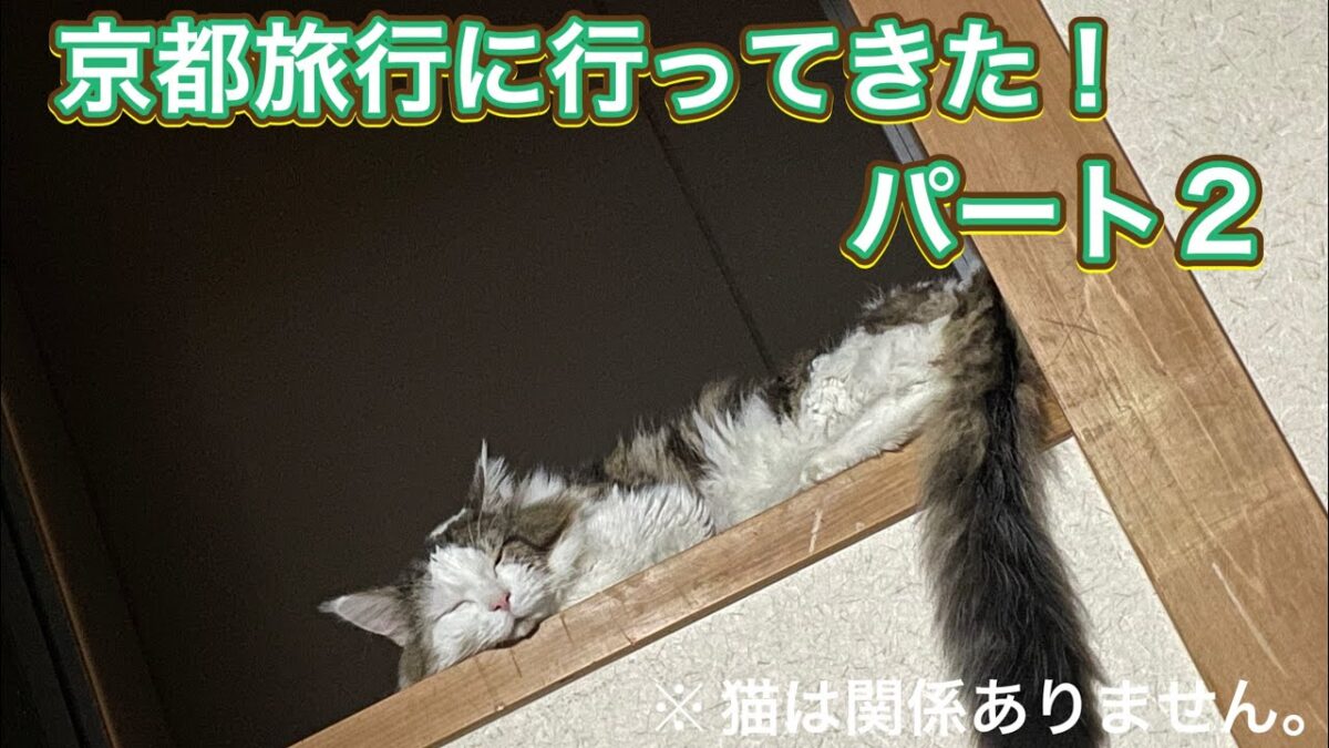 京都旅行に行ってきた！　パート2