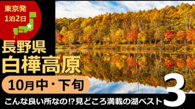 【国内旅行おすすめ】今年の長野は特別な秋イベントが！ 2021年10月中・下旬 1泊2日 東京発 白樺高原 その1『こんな良い所なの!?見どころ満載の湖 ベスト3』