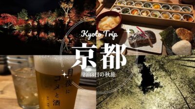 秋の京都旅行🍁2泊3日🚄１日目　高台寺ライトアップとプロジェクションマッピング