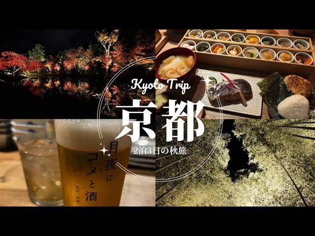 秋の京都旅行🍁2泊3日🚄１日目　高台寺ライトアップとプロジェクションマッピング