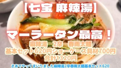 【大阪グルメ】これはうまい！七宝麻辣湯(チーパオマーラータン) 麻辣湯　3辛 クーポンモッツァレラ基本セット620円ショーケース具材285円合計905円