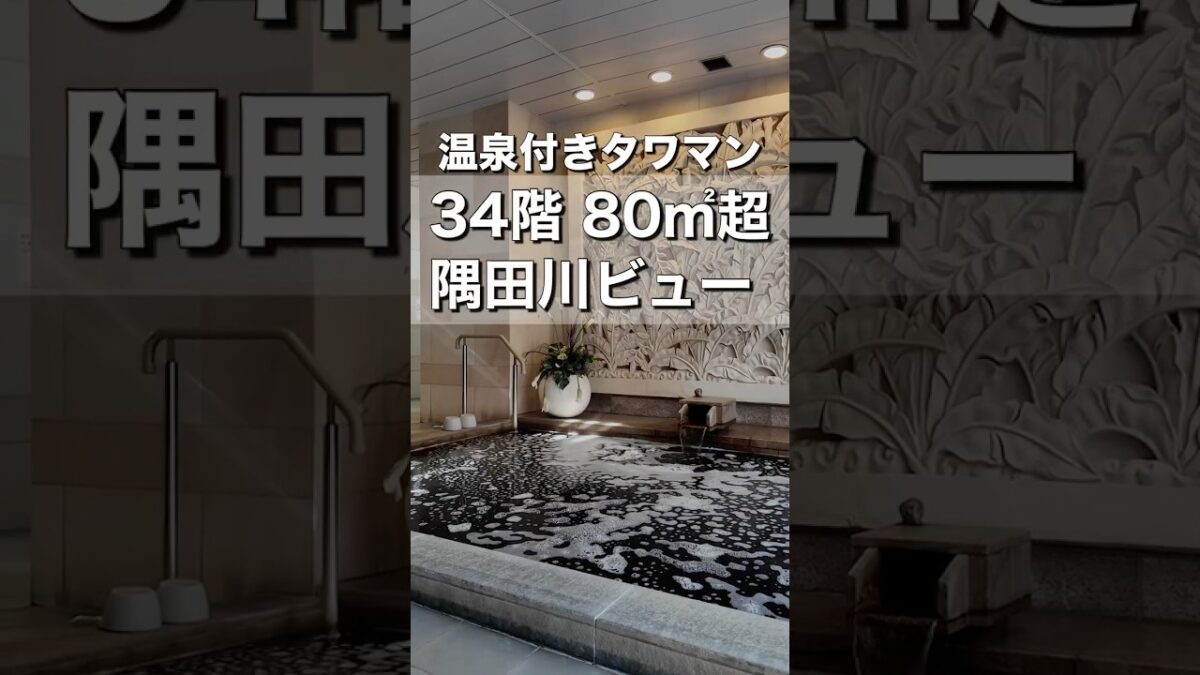【温泉付きタワマン】34階からの贅沢な眺望｜2SLDKのお部屋紹介｜ロイヤルパークスタワー南千住｜ロイヤルパークスタワー南千住 #お部屋さがし #ルームツアー #タワマン