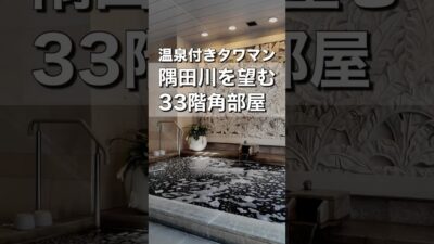 【温泉付きタワマン】隅田川ビューの3LDKのお部屋紹介｜ロイヤルパークスタワー南千住 #お部屋さがし  #ルームツアー #タワマン
