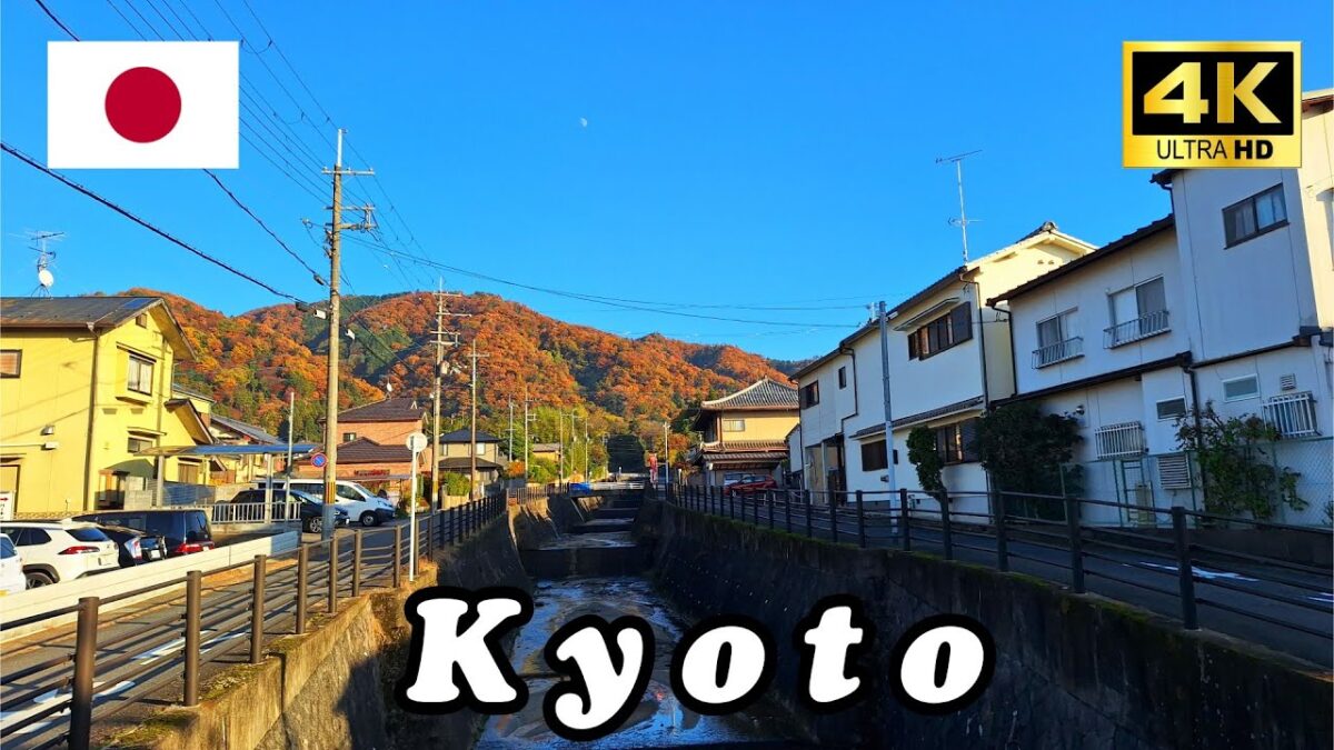 【4K】京都紅葉秘境太誇張！修學院離宮旁這條路美到爆掉🍁😍