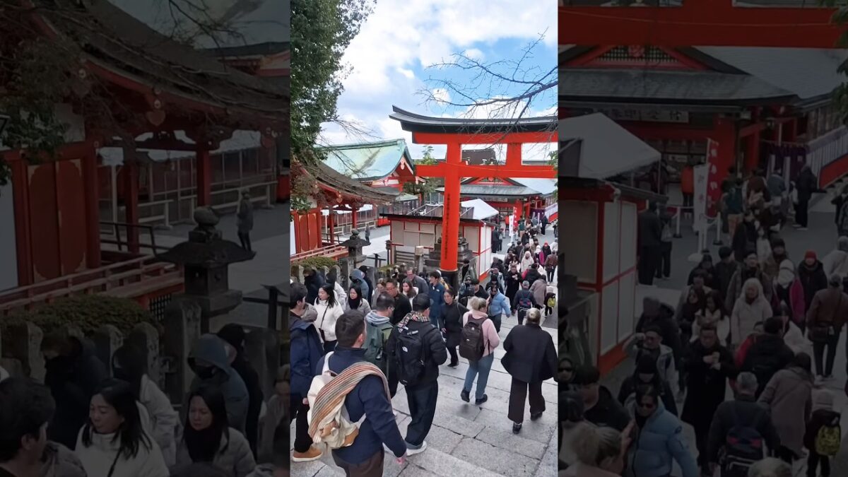 【4K】昼の伏見稲荷大社、異変が起きていた