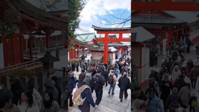 【4K】昼の伏見稲荷大社、異変が起きていた