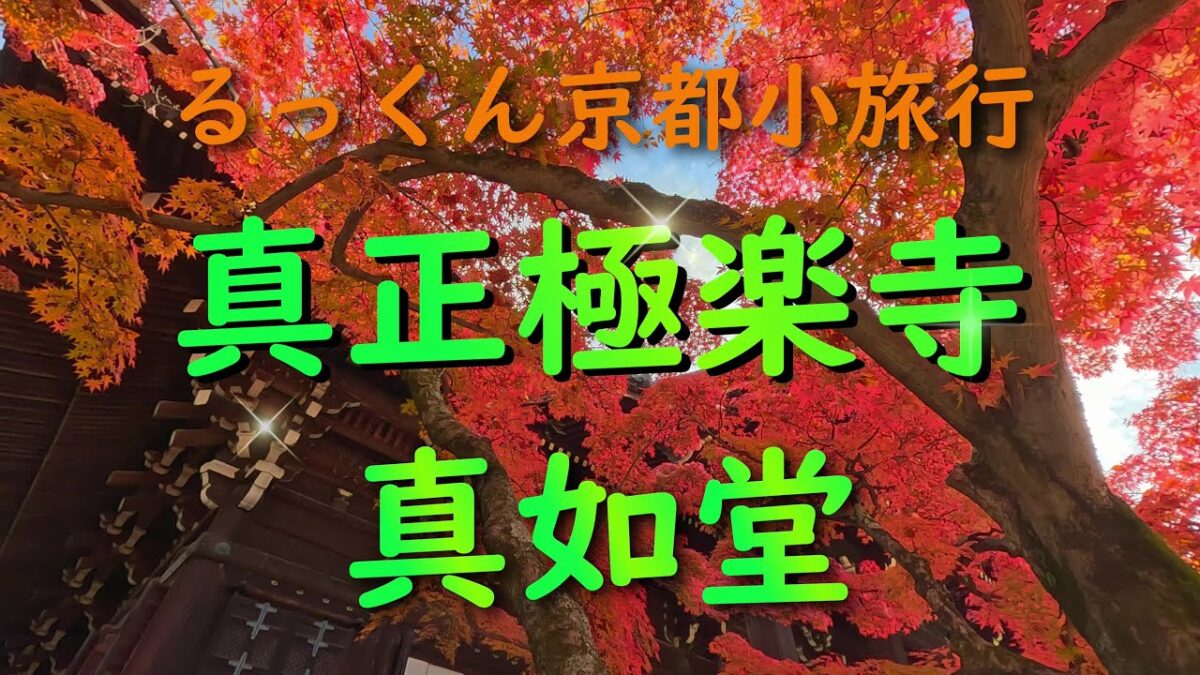 真正極楽寺 真如堂【るっくん京都小旅行 4K 社寺史跡 徹底探索 Vol.1003】