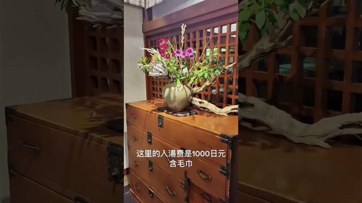 4K武雄温泉・京都屋｜大正ロマン漂う洋風ロビー｜露天風呂＆サウナ，駅から徒歩10分 #武雄温泉 #京都屋 #佐賀旅行 #九州旅行 #温泉巡り #露天風呂 #サウナ #温泉旅館 #日本旅行 #鉄道の旅