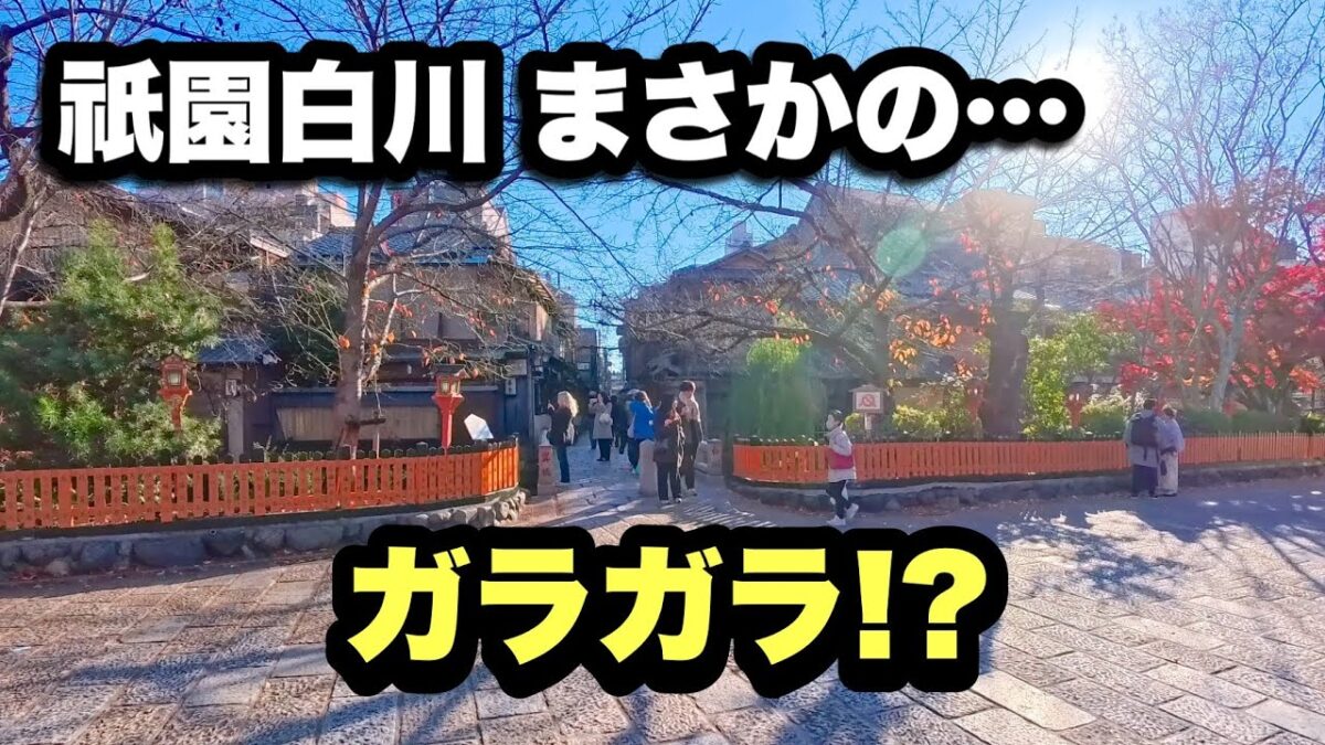 【4K】2025年12月6日（土）祇園白川がガラガラ!? 週末の京都、市内の人出が一気に落ち着いてた