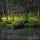 【晩秋の京都】西芳寺｜静寂と苔の世界 4K｜Late Autumn in KyotoSilence and Moss at Saihō-ji  4K｜Trip coffee